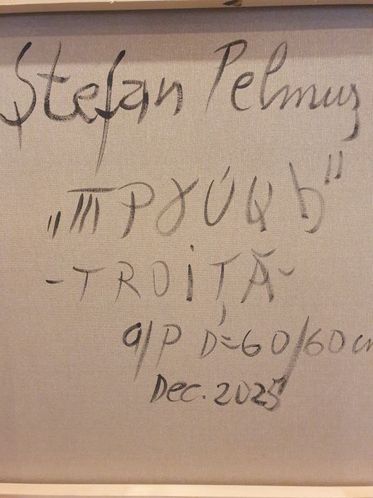 Tablou , Ștefan pelmus.