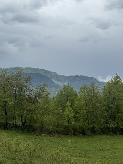 Teren de vanzare Valea Doftanei 2368mp