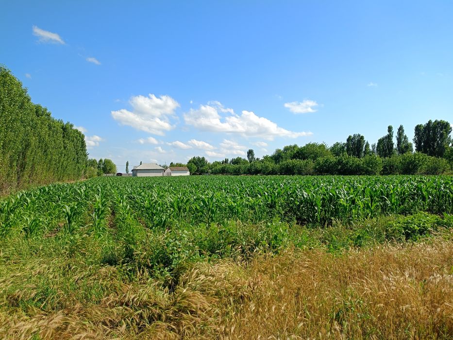 Уй сотилади! дом продаётся: 35 000 у.е. - Продажа Бука на Olx