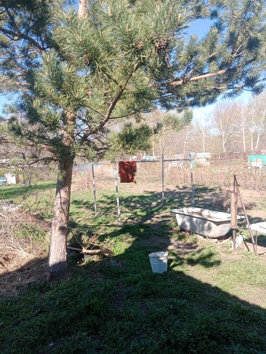 Продам дачу. Дачный участок.