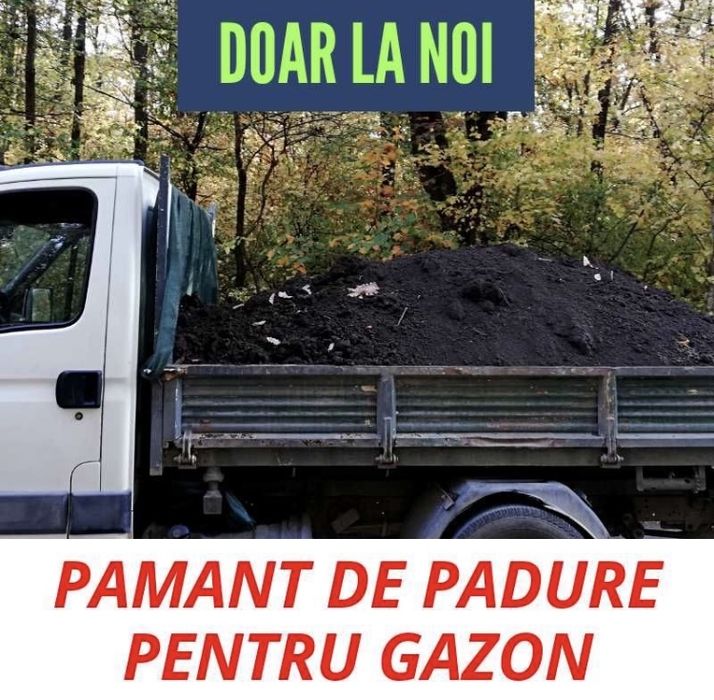 Pamant negru de flori