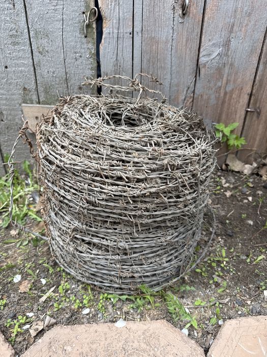 Колючая проволка бухта