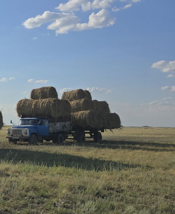 Срочно продам Газ 53 дизель