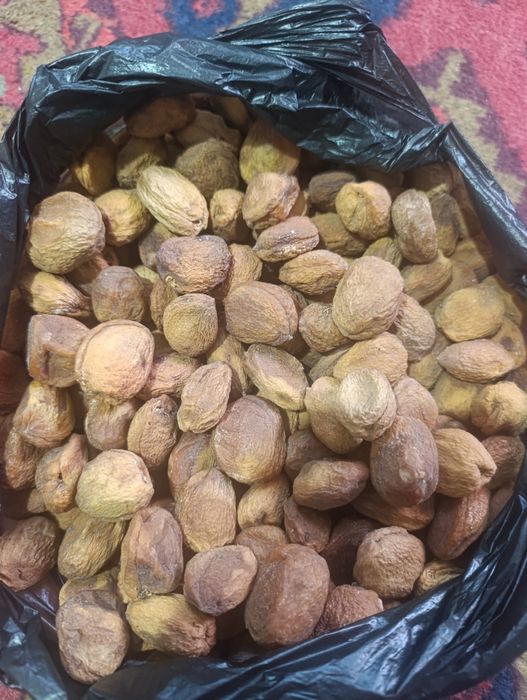 Табиий гулин сотилади.