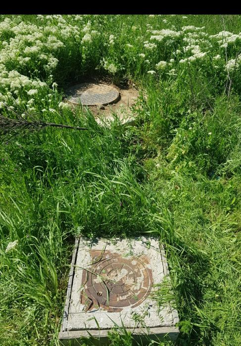 Vand  tren Dobroiesti Ilfov, in spatele  Dragonul Rosu