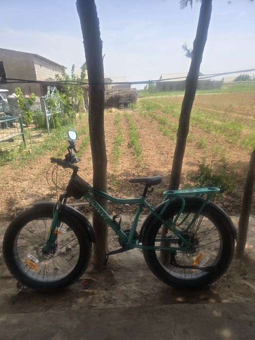 Velosiped  qalin balonli
