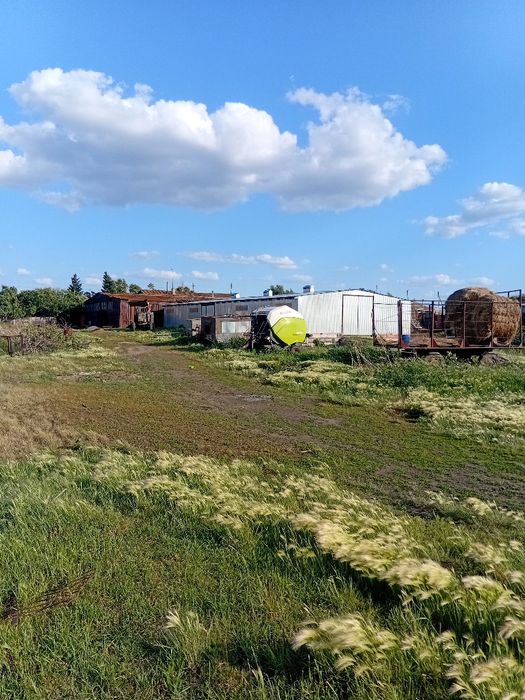 Дом. с. Акколь продам