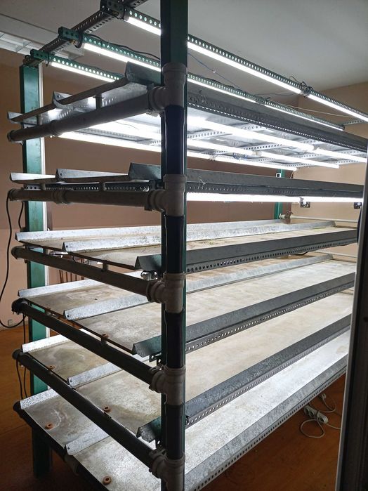 Стеллаж микрозелень системой автополива.