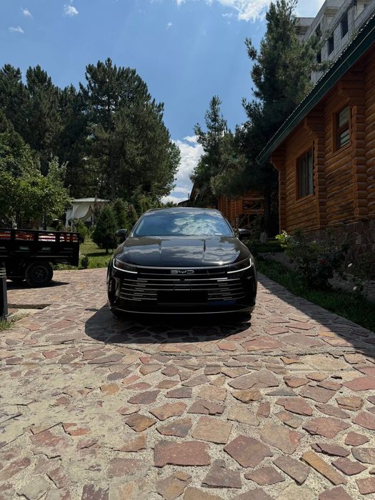 BYD Chazor 2 поз.