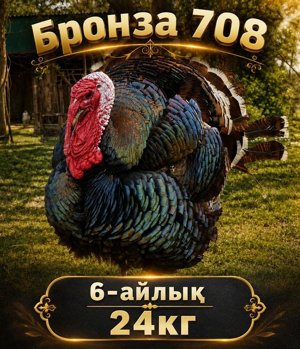 Үндіктер Бронза 708