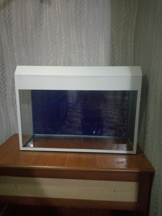 Аквариум для рыб