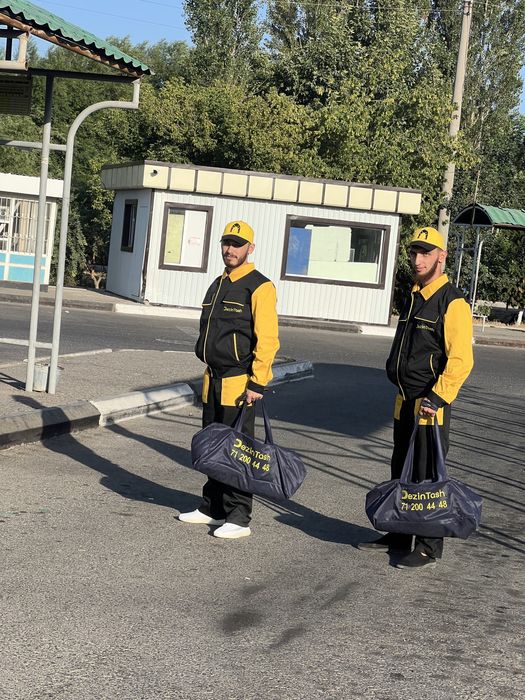 Toshkentda KLOPA va TARAKAN yo'q qilish | 1 kunda natija 1 yil kafolat