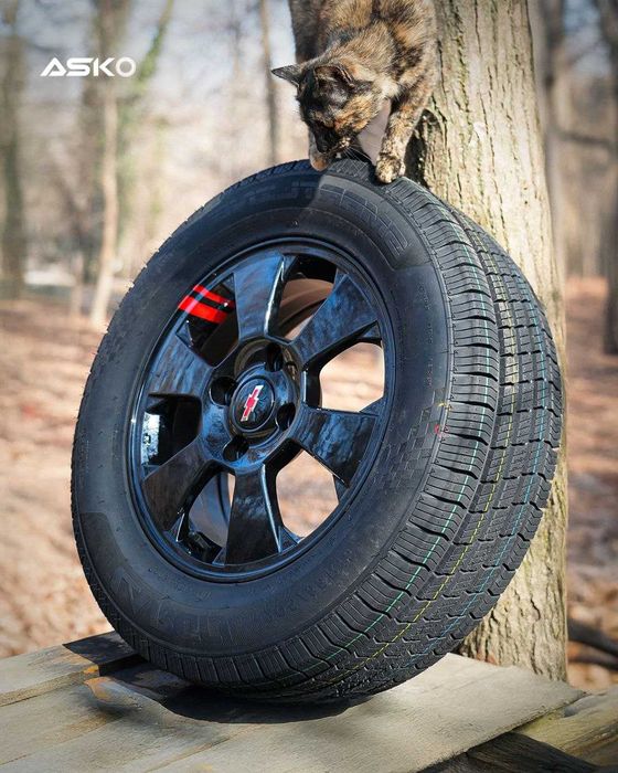 sifatli va xamyonbop shinalar