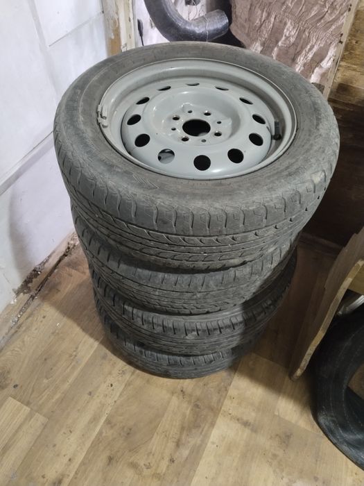 Комплект на 14 и 13 лето