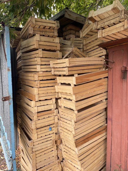 Продам ящики с помидоров