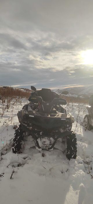 Квадроцикл Stels geupard 800