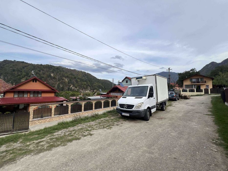 Vand Mercedes Sprinter 311 Frigorific duba