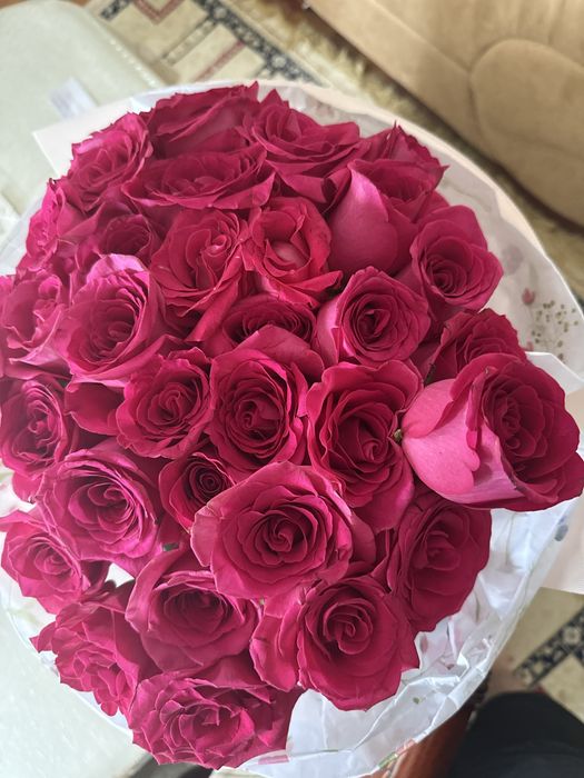 Цветы   Разный и т д