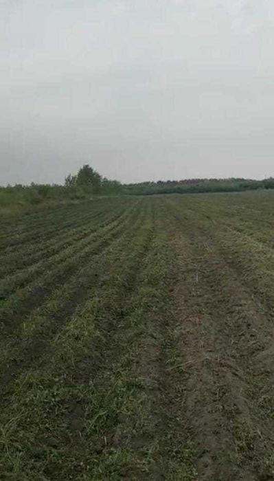 Продается участок 40 км от города