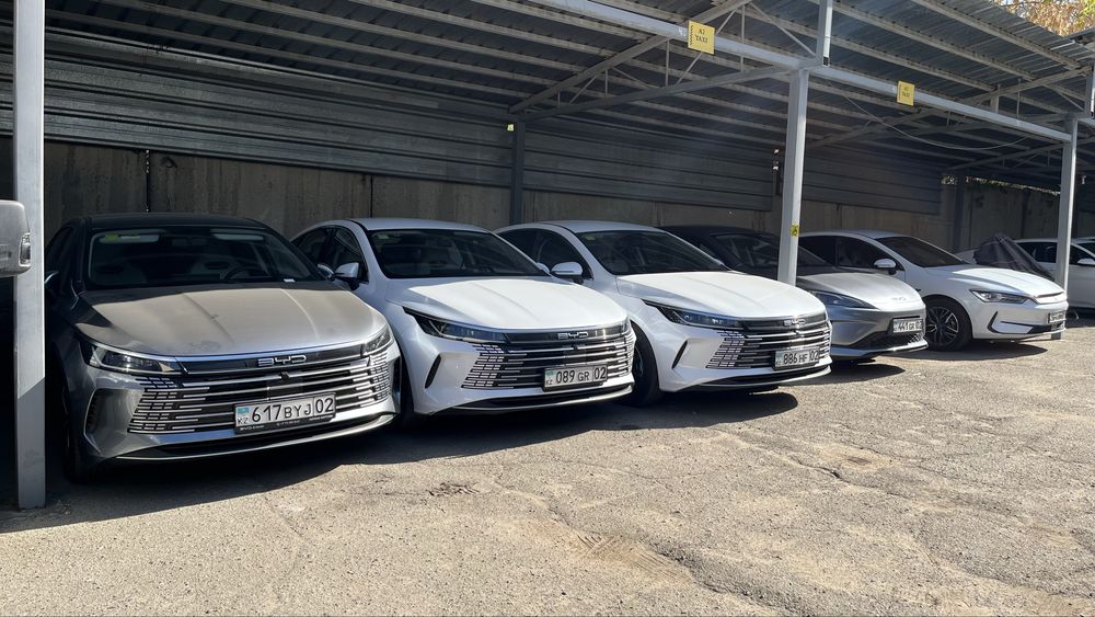 Электричка Bydqinplus 2023г от 14.500