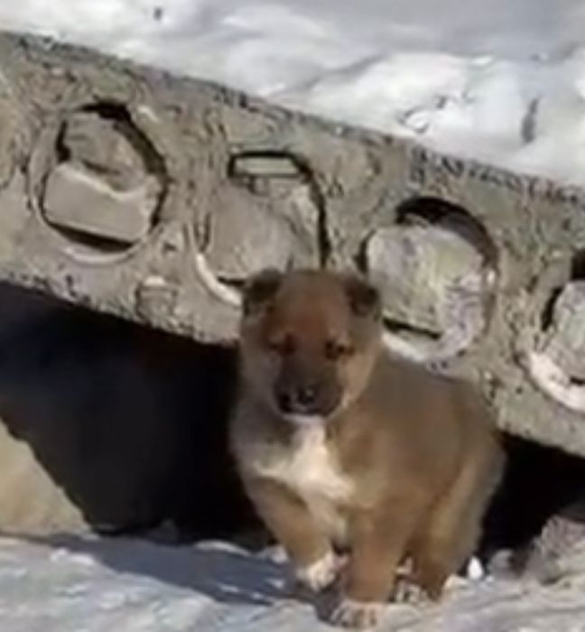 Мальчик ищет дом