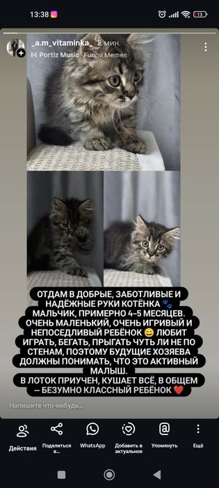 Отдам в добрые руки, мальчик 5 месяцев