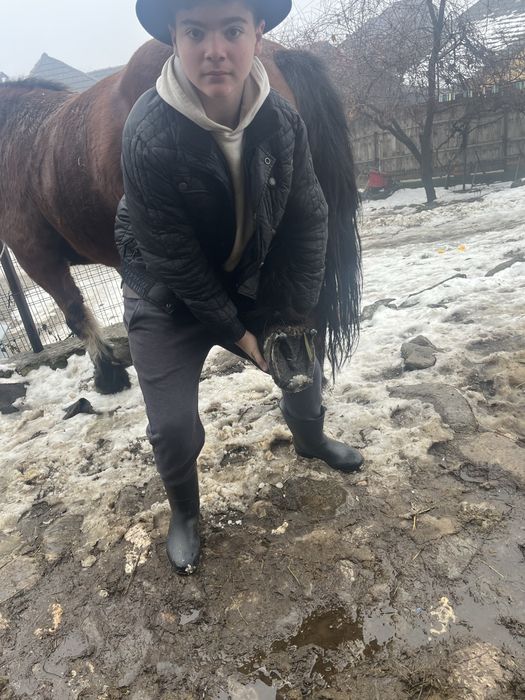 Iapa de vanzare  de 9 ani