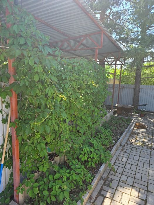 Продам дачу в дачном массиве