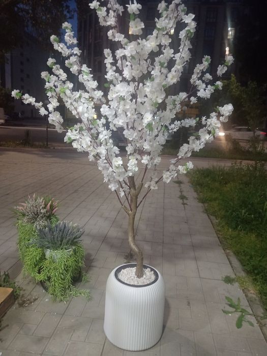 Искусственные цветы и деревья прокат