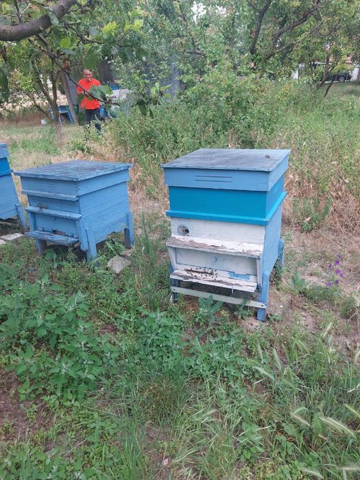 Продавам пчелни семейства с кошери + Фургон