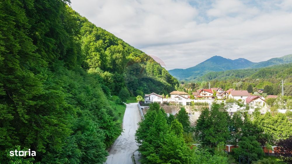 Teren intravilan 2000mp parcelat -ideal rezidențial/investitie- Bunloc