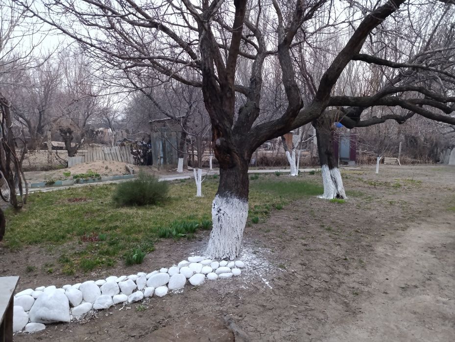 Продам дом в чилике