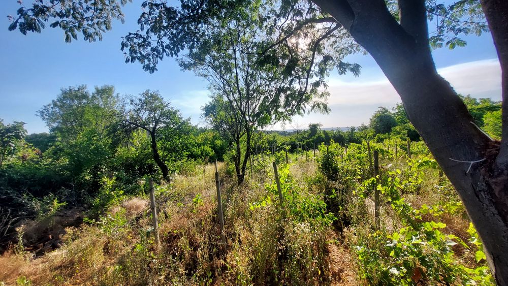 Продава се Парцел в Русе, Долапите - 875 кв.м за 5 €/кв.м - Снимка #7