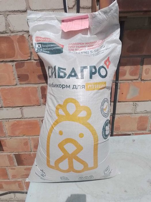 Цыплята бройлера Кобб 500