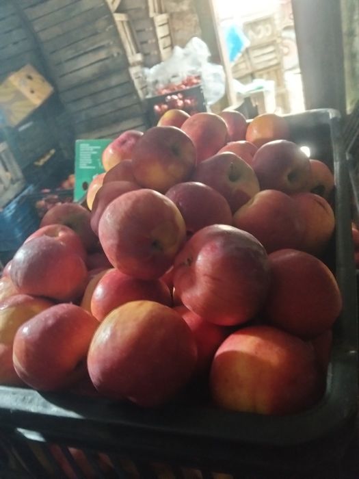 Mere Florian și Idared en- gros