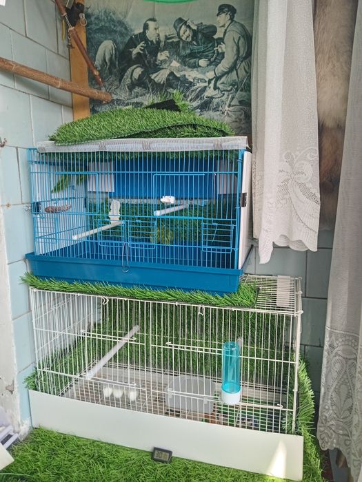 Клетки разные для птиц.