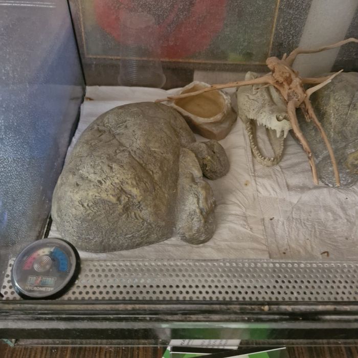 Продавам Терариум с оборудване за Гекон