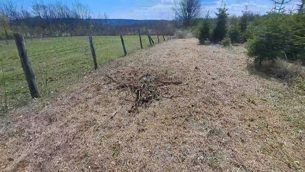 Servicii tocatre crengi/tocare vegetatie