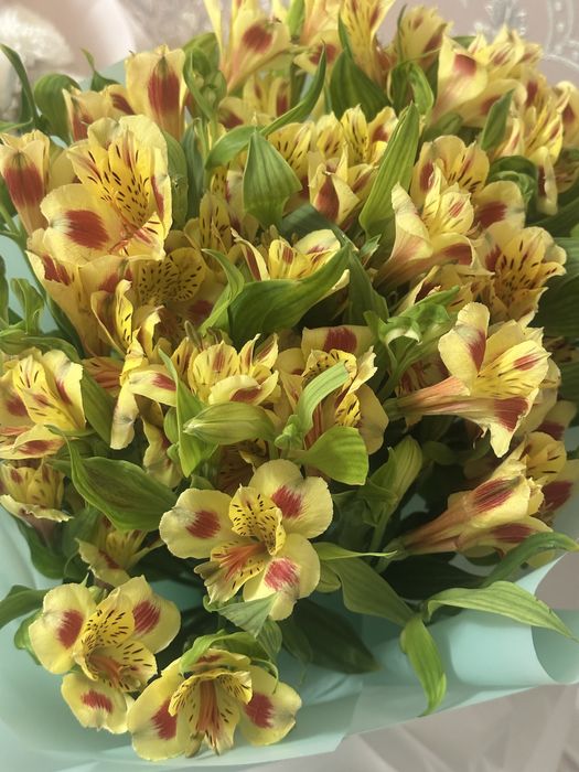 Продам цветы букеты