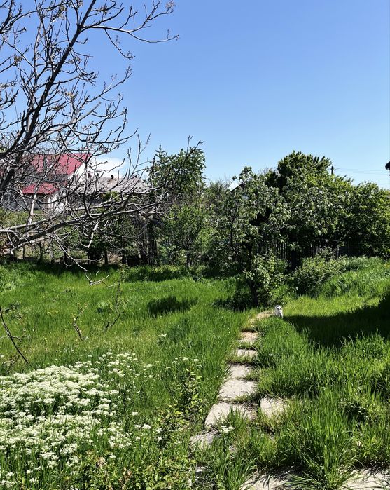 Casă + teren de vânzare Oreavul!