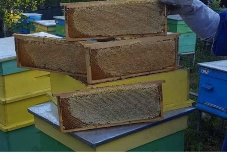 Продавам мед директно от производителя!