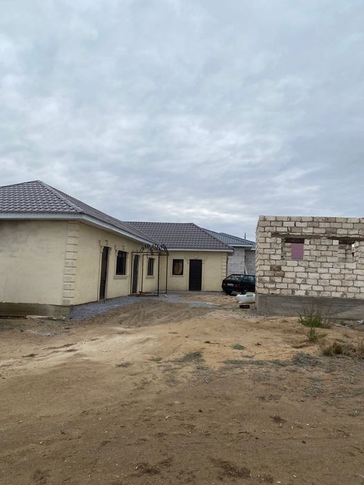 Продам жана коныс2