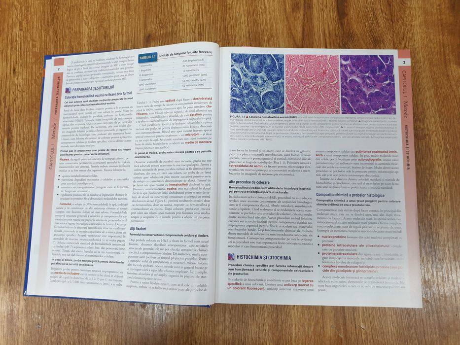 Ross Histologie: Tratat și Atlas, Wojciech Pawlina