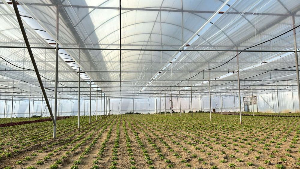 Продава се Земеделски имот в с. Спатово, Област Благоевград -  кв.м за 28688 €/дка - Снимка #2