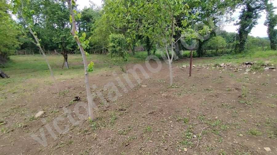 Продава се Къща в с. Вишовград, Област Велико Търново - 65 кв.м за 471 €/кв.м - Снимка #8