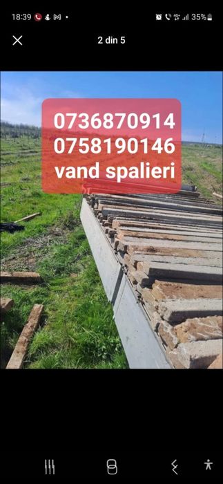 Vand spalieri pentru vie