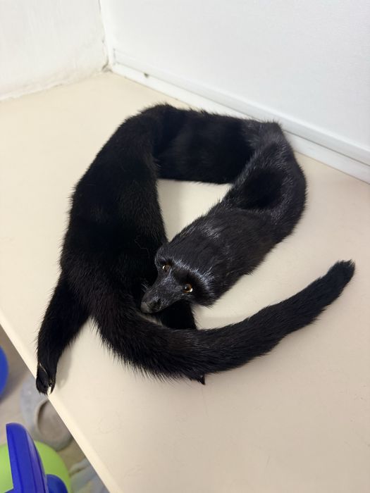 Продается воротник норка и вернобурка