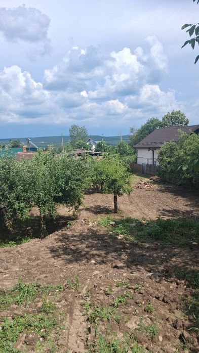 Mărăcineni  Argeșelu  zona moara