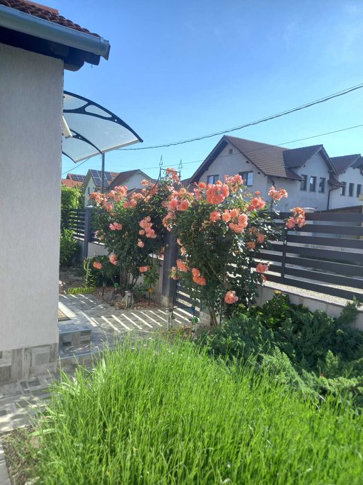 Activități de Întreținere a Spaților Verzi, Tuns Gazon, Toaletat