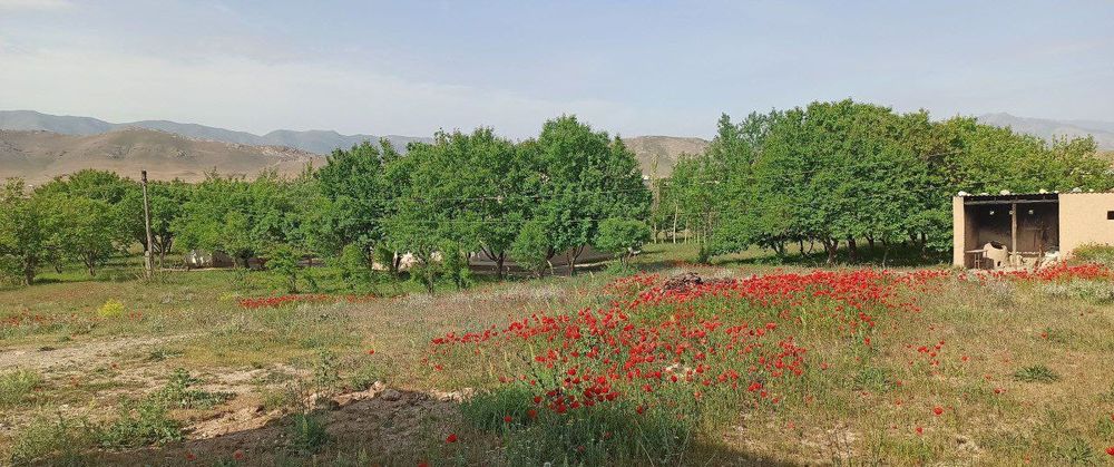 Uy sotiladi yoki moshinaga barter qilsa boladi